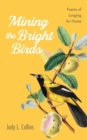Image for Mining the Bright Birds: Poems of Longing for Home