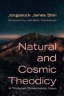 Image for Natural and Cosmic Theodicy: A Trinitarian Panentheistic Vision