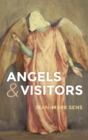 Image for Angels and Visitors