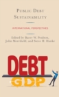 Image for Public debt sustainability  : international perspectives
