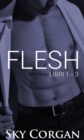 Image for Flesh: Libri 1 - 3
