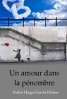 Image for Un amour dans la penombre
