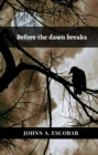 Image for Before the dawn breaks