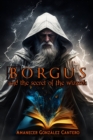Image for Borgus and the Secret of the Wizards