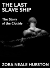 Image for Last Slave Ship