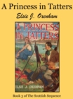 Image for Princess in Tatters
