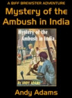 Image for Mystery of the Ambush in India
