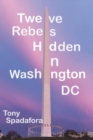 Image for Twelve Rebels Hidden in Washington, DC