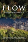 Image for Flow: How to Open the Flow of Finance for All
