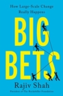 Image for Big bets  : how large-scale change really happens