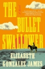 Image for The Bullet Swallower : A Novel