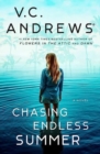 Image for Chasing Endless Summer