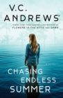 Image for Chasing Endless Summer : 2