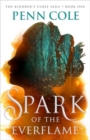 Image for Spark of the Everflame