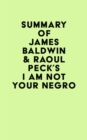 Image for Summary of James Baldwin &amp; Raoul Peck&#39;s I Am Not Your Negro