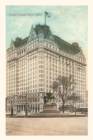Image for Vintage Journal Hotel Plaza, New York City