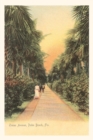 Image for Vintage Journal Ocean Avenue, Palm Beach, Florida