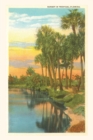 Image for Vintage Journal Sunset, Palm Trees, Florida