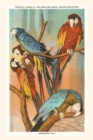 Image for Vintage Journal Macaws, Sarasota, Florida