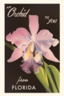 Image for Vintage Journal An Orchid from Florida