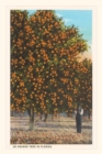 Image for Vintage Journal Orange Trees