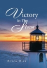 Image for Victory in the Storm
