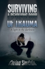 Image for Surviving a Revolving Door of Trauma: A Light in the Darkness