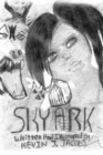 Image for Sky Ark