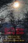 Image for Sal De Sales: Salt of Salts
