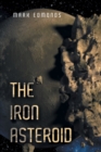 Image for Iron Asteroid