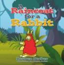 Image for Raincoat for a Rabbit