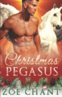 Image for Christmas Pegasus