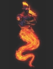Image for Fire Genie