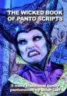 Image for The Wicked Book of Panto Scripts