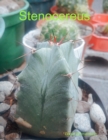Image for Stenocereus