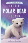 Image for Little Polar Bear Rescue