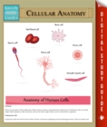 Image for Cellular Anatomy: Speedy Study Guides