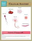 Image for Cellular Anatomy (Speedy Study Guide)