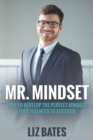 Image for Mr. Mindset : How to Develop the Perfect Mindset That You Need to Succeed