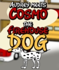Image for Audrey Meets Cosmo the Firehouse Dog