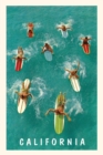 Image for Vintage Journal California Surfers with Colorful Boards