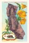 Image for Vintage Journal California Map with Bear and Poppies