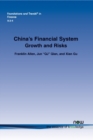 Image for China&#39;s financial system  : growth and risk