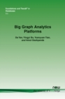 Image for Big Graph Analytics Platforms