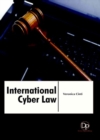 Image for International Cyber law