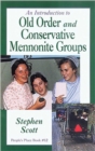 Image for An introduction to Old Order and Conservative Mennonite groups : #12