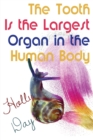 Image for The Tooth Is the Largest Organ in the Human Body