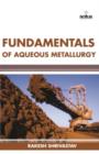 Image for Fundamentals of Aqueous Metallurgy