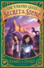 Image for Secret in the stone