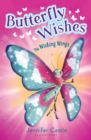 Image for The wishing wings : 1
